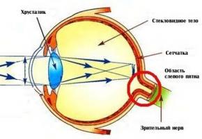 Этапы развития зрения у новорожденного ребенка по месяцам Зрение у новорожденных в 1 месяц