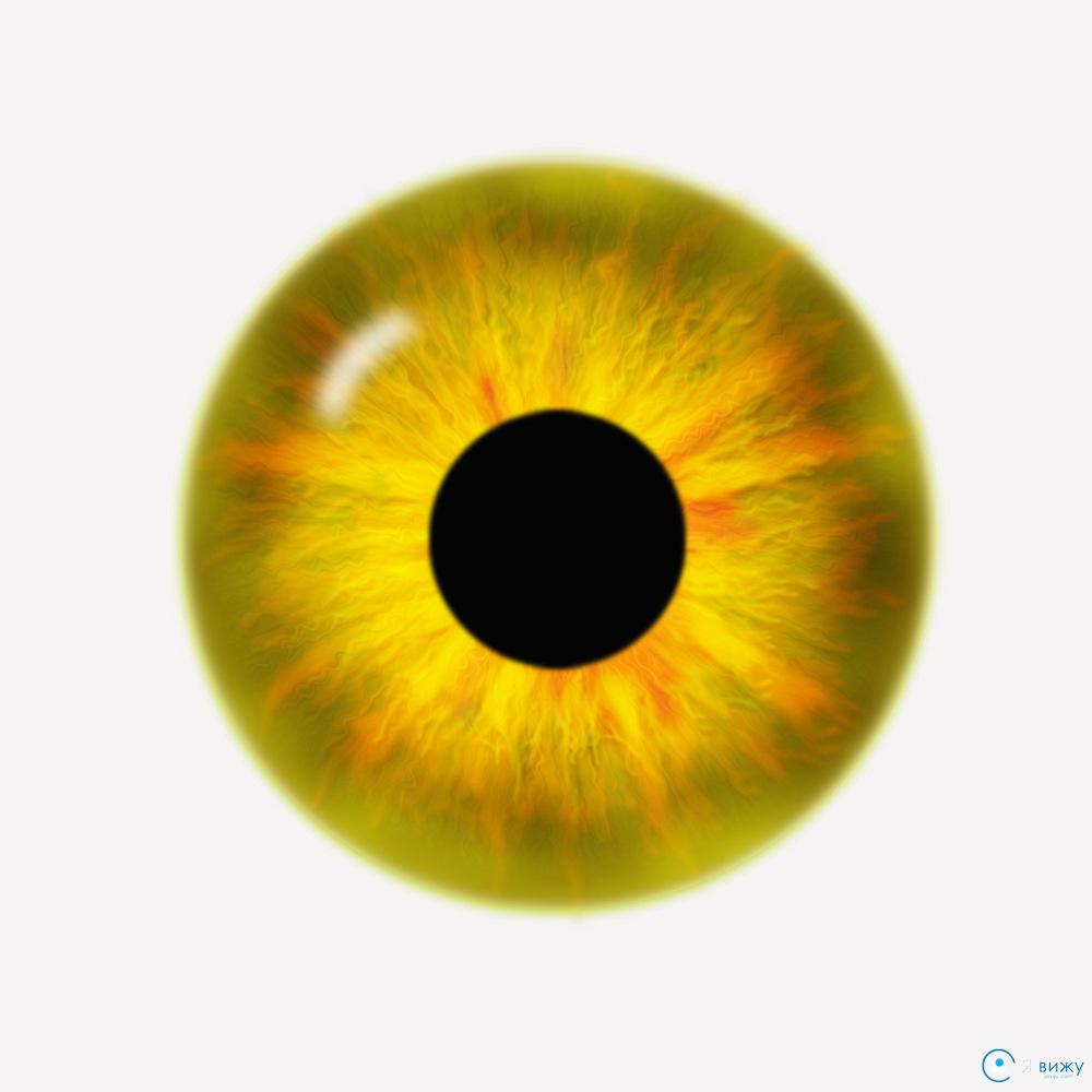 Черный пигмент глаза. Желтые зрачки. Желтая радужка. Радужка глаза. Желтые зрачки глаз.